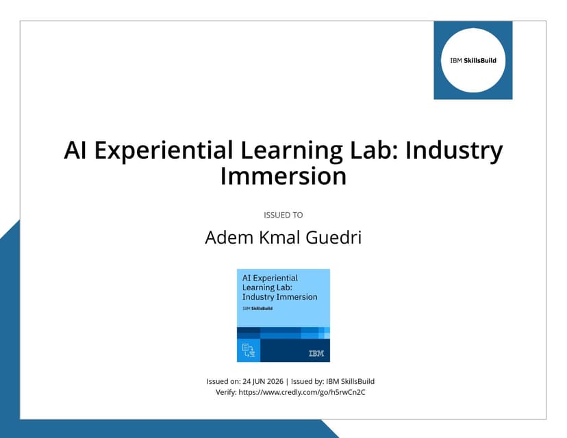 AI Experiential Learning Lab: Industry Immersion certificate